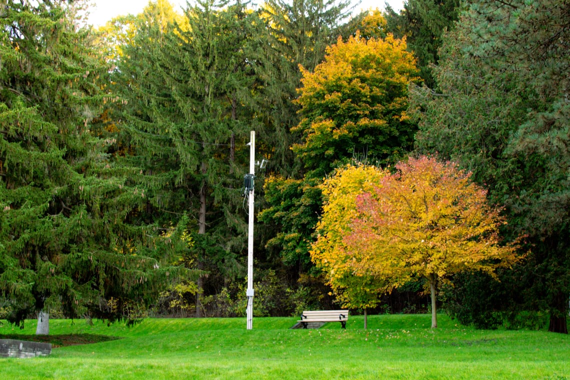 Spring into Fun at Springbank Park, London Ontario!