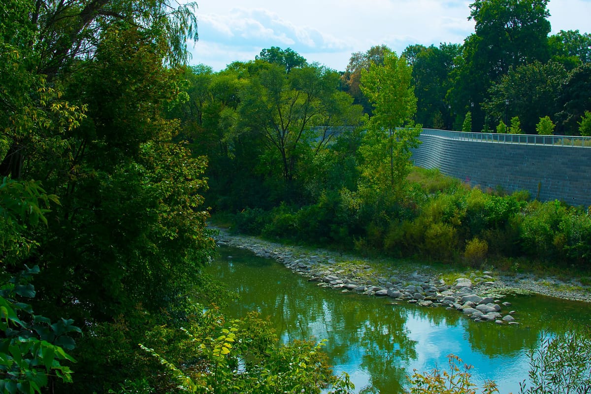 A morning at Thames Valley Parkway
